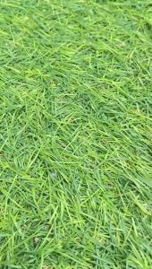 Sandal Pesta Wanita - Oglee Shop - Sandal Dolly AR.222 Sandal High Heels Mutiara Deret New Product