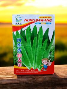 (KEMASAN PREMIUM) BIJI/BENIH SELADA  SIOMAK | CHINESE LETTUCE (isi -+3.000 butir)