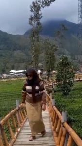 Rok wanita jeans dewasa paket murah