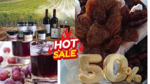 Nho xanh sấy dẻo không đường nho Ninh Thuận hàng  loại 1