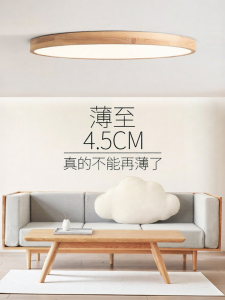 DGY | New Style LED Japanese Style Ceiling Light