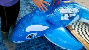 Phao bơi  cá voi  cá heo  cá sấu  intex   màu sắc đẹp ko phai khi sử dụng