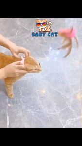 Cat Teasing Stick Teasing Cat Toy Self-healing Cat Relieving Boredom Handy Tool Cat Collar