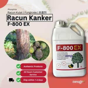 Easternrise F-800 EX 4L Phosphite Rawat Kanker Durian Busuk Buah Durian Reput Akar Phytophthora 榴莲疫霉果腐 榴莲黑头病