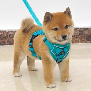 Petone dOrage | Breathable Adjustable Chest Harness for Small Dogs