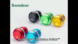 19mm Metal Button Switch Waterproof Self Reset Screw Welding Pin Red Yellow Green Blue Black Flat High Head Power Switch