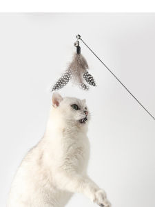 Stainless Steel Wire Feathers Toy for Cats Interactive Toys Young Cat Supplies Self Entertaining Biting Resistant Replaceable Head