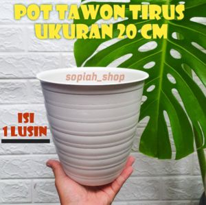 Pot Tawon Tirus 20 cm Paket Isi 1 Lusin Murah / Pot Bunga Tinggi