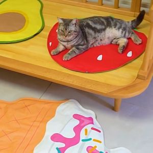 Luka⚡พร้อมส่ง💯 แผ่นเจลเย็น เจลเย็นลดความร้อน แผ่นเจลเย็น ที่นอนสุนัข ที่นอนแมว Coolpad2024 Pet Ice Pad  ที่นอนเจล