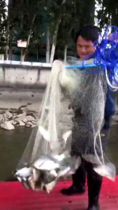 Fishing Net Nylon Casting Fish Net Shrimp Nets Shrimp Crab Mesh Fishing 4/6/8/10 Ft