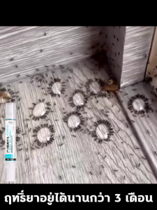 💧หนึ่งหลอดใช้ได้หนึ่งปี💧 ยาหยดมด ที่หยอดมด เจลกำจัดมด ความจุขนาดใหญ่ 30มลห ยดหยดเดียวฆ่าทั้งรังได้ สำหรับมดทุกชนิด ปลอดภัย ไร้กลิ่น ประสิทธิผลต่อเนื่อง ยาฆ่ามด ยกรัง เจลฆ่ามดยกรัง ตายยกรัง ฆ่ามด  หยดมด  ยาเบือมด ANT BAIT Anti Ant