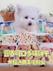 100g Pet Snacks Beef Cube Beef Stick Pet Treat Dog Treat Chicken Cheese Cube Dog Food