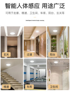 Automatic Sensor Ceiling Lamp LED Human Body Induction Light for Entrance Hall Kitchen Balcony Intelligent Switch Control
