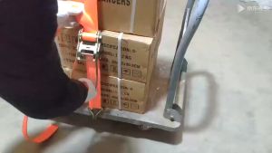 (Dikirim Dari Jakarta) 10 ton speed rope ratchet tie 4cm x 6M/8M/10M 5CMx 6M/8M cargo strap/cargo tether 4cm x 4M/6M/8M/10M 5cm x 6M/8M