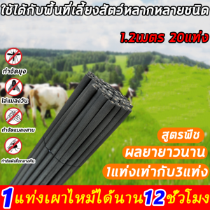 1 แท่งเผาไหม้ได้นาน 12 ชั่วโมง ธูปโกฐจุฬาลัมพาไล่ยุง 1.2เมตร 20แท่ง ธูปไล่ยุง ปลอดภัยสำหรับเด็ก และสตรีมีครรภ์ ธูปจัมโบ้ ผลิตจากวัสดุธรรมชาติ ธูปหอมไล่ยุง ปรับปรุงสภาพแวดล้อมการเลี้ยงสัตว์ ธูปกำจัดยุง ปรับใหม่แรงขึ้นมีกลิ่นหอมและจุด ธูปสมุนไพรไล่ยุง