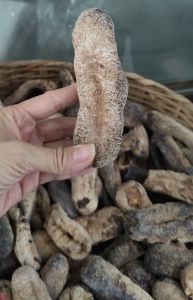 Hải Sâm Khô đen 0.5 Kg loại 10-14 con (Dùng nấu các món canh hầm - món xào) -Shop Kellyye