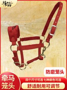 Horse Tack Combo Set