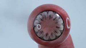 KAKALENS My Daisy Gray Natural Lens / Softlen My Daisy Grey by Pinkin Softlens