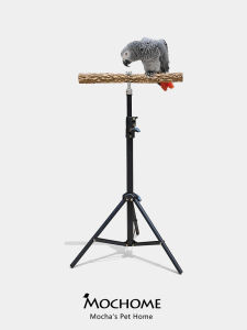 Training And Outing Parrot Stand
