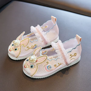 Chinese Traditional Girls Embroidered Shoes