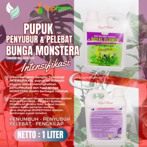 Pupuk Monstera Variegata / Pupuk Tanaman Janda Bolong / Pupuk Tanaman Bunga Hias / Pupuk Tanaman Hias Daun Bunga / Pupuk Bunga Hias