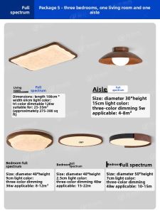 PAIMIJI | Modern Retro Smart LED Ceiling Light