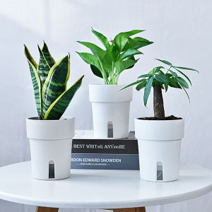 Self Watering Planter for Indoor Plants White Flower Plant Pots  Plastic Planter with Wicking Rope