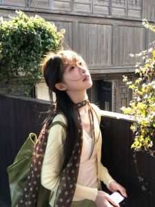 Khăn Choàng Lụa Kẻ Sọc Màu Nâu Thời Trang Sang Trọng Thanh Lịch Dài 180cm Cho Nữ Phụ Kiện Trang Trí Tóc Mùa Xuân Thu