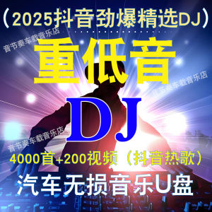 2025 Dance Music High Quality Lossless Car Music USB Drive for Vehicle Entertainment High Definition Audio USB Stick