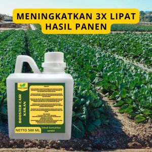 Pupuk Pelebat Kailan / Pupuk Sayur Kailan / Pupuk Booster Kailan / Pupuk Kailan