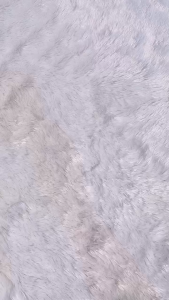 [LUSIN] CD Pria AGREE 8889 Maxi Pinggang Karet / Celana Dalam Ukuran M-XXL / Pakaian Dalam Cowok - sckmenwear GROSIR