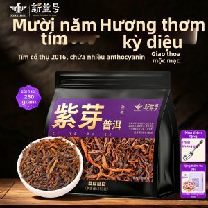 XINYIHAO | Trà Puer Chín Nụ Tím Cây 10+ Năm Tuổi