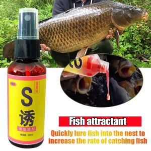 Essen Ikan Import China Attraktan Siap pakai