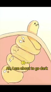 Pore essence lighten pigmentation remove acne marks refine pores sensitive skin salicylic acid essence 30ml