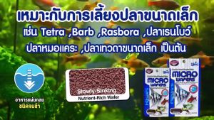 ฮิคาริ ไมโครเวเฟอร์ Hikari Micro Wafers อาหารปลาสวยงาม ขนาดเล็ก-กลาง เร่งโต เร่งสี (ชนิดจมน้ำช้า)