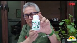 DND MORINGA PLUS - 60 VEGE CAPSULE x 2 Bottles DND369 Morning Plus Tablet Sleeping Capsule Sun Capsule Vitamin Capsule Morningsave Plano Morning Head Cap - Lazada