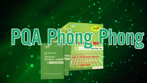PQA Phòng Phong Đau Thần Kinh Tọa
