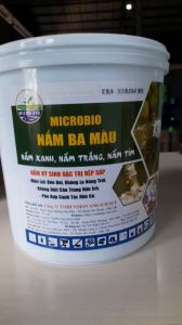 2 Kg Nấm 3 Màu Ký Sinh Trừ Rệp Sáp Côn Trùng Sinh Học - Bột Tan