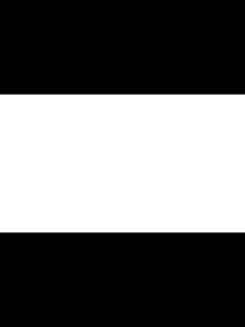 Áp Dụng Hifiman HE350 HE560 Dây Nâng Cấp Tai Nghe Kép 2.5mm/3.5pro Phích Cắm Cân Bằng