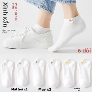 JINGCHI | Vớ Ngầm Thoáng Khí Mùa Xuân/Hè