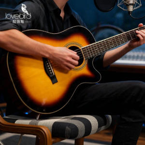 Lovebird | Beginner Acoustic Guitar 38 inch