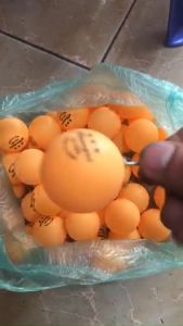 Combo 2 Trái 5 Trái Cò Treo Báo Cá Ăn Treo Dây Câu