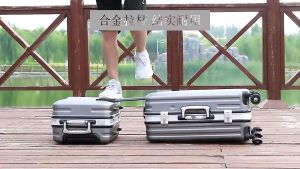 LESTOP Fashion Luggage Female Student Aluminum Frame Travel Password Suitcase 20-Inch Thickened Trolley Case Scratch-Resistant Mute Leather Suitcase