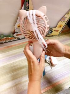 พัดลม มือกด พัดลม มือถือ รุ่นกลม อันใหญ่ #BH38