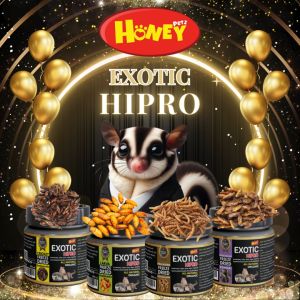 แมลงอบแห้งสำหรับสัตว์เล็ก ขนาด 500 กรัม EXOTIC HIPRO by HONEY PETZ