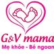 Gối chống trào ngược Mama Việt Nam