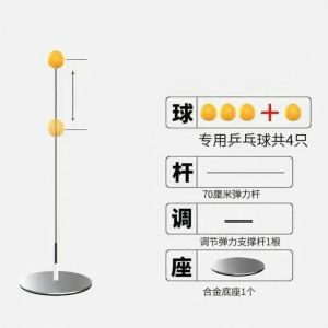 FEIZHUXIANSEN | Self-practice Table Tennis Trainer Indoor Use