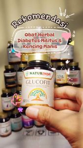 Obat Herbal Diabetes Militus Kering Basah Gula Darah Tinggi Kencing Manis Glucofit Naturindo