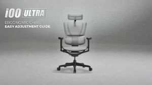 Ergohuman IOO Ultra Matrex USA Patent Mesh Ergonomic Office Chair