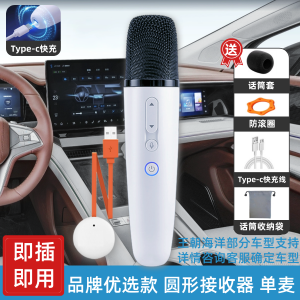 Original Wireless Car-Mounted Karaoke Microphone for BYD Summer Vehicle One-Stop Modification Handheld Charging Type